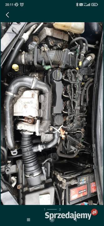 Silnik słupek peugeot ford 16 TDI HDi dv6 90 Silniki i osprzęt Radzyń Podlaski sprzedam