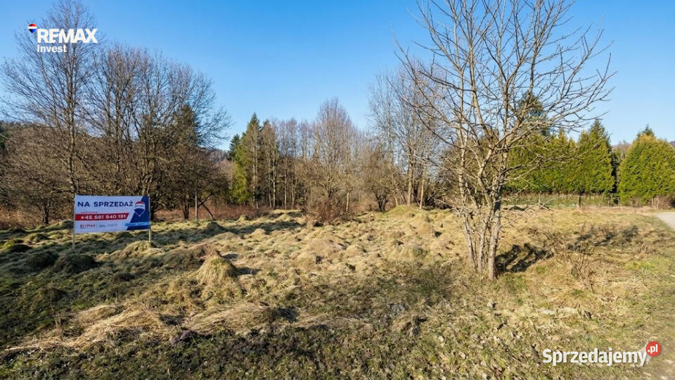 Działka 8a otulona zielenią Jeleśnia czeka