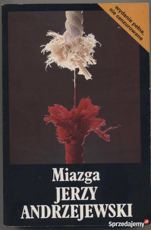 Miazga Andrzejewski Szczecin