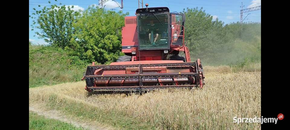 Kombajn zbożowy Case 1640 International 43 heder nieuszkodzony lubelskie Rejowiec Fabryczny