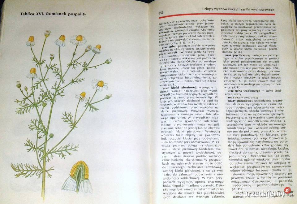Encyklopedia zdrowia dziecka Opracowanie lubelskie Chełm