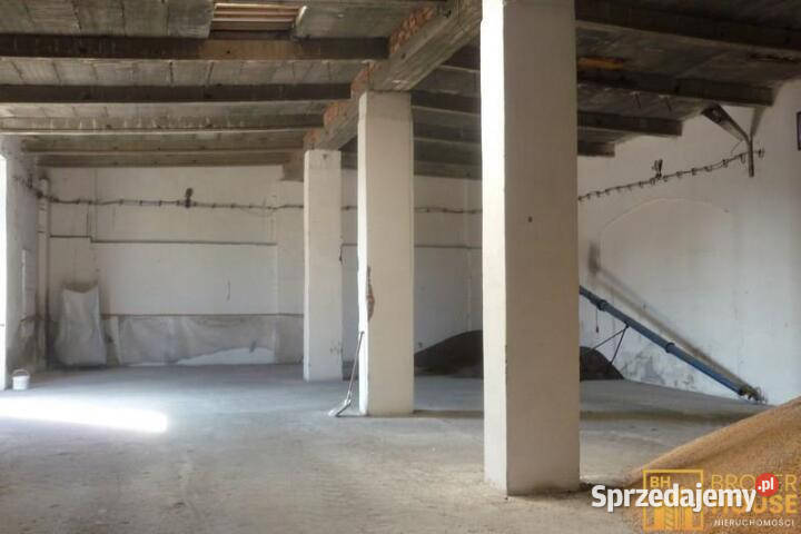 Sprzedam lokal 189897m2 Bielice Nieruchomości