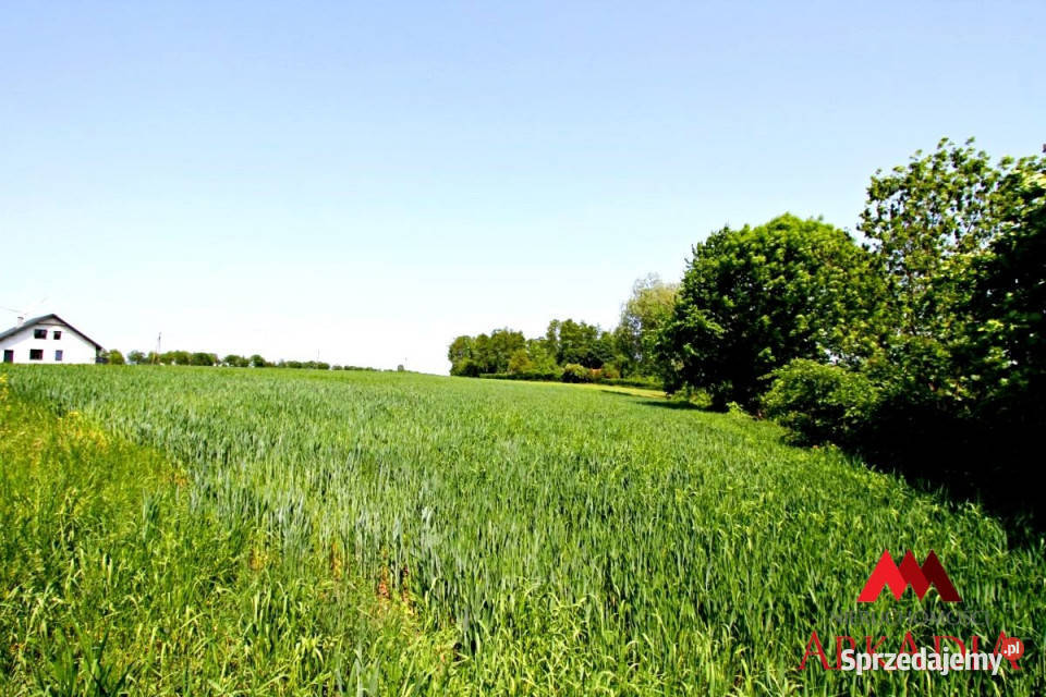 Działka 3012m2 Dobrzyń Wisłą Dobrzyń nad Wisłą