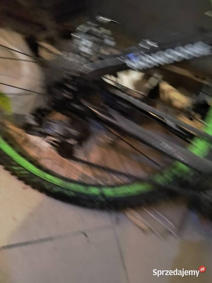 Moogoose 26 Zielonki