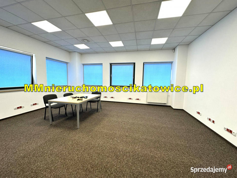 Magazyn do wynajęcia z regałami Katowice A4 2480m2