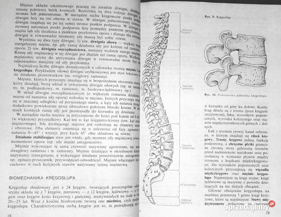 Ćwiczenia usprawniajace w uszkodzeniach kości i Chełm
