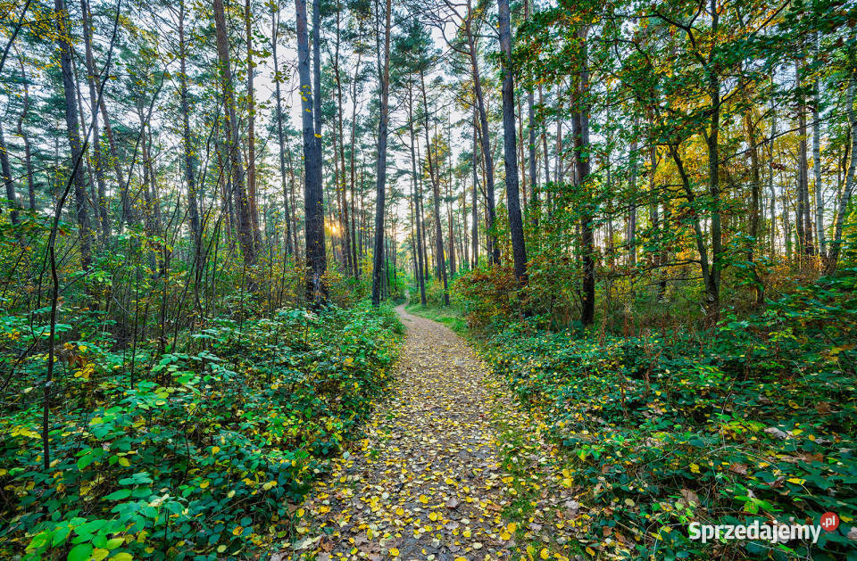 Działka morzem w Jarosławcu piaszczystej plaży