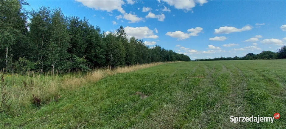 Działki w Cieszowie Cieszów