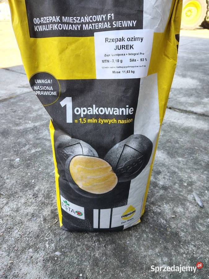 Nasiona rzepak JUREK Kłodawa