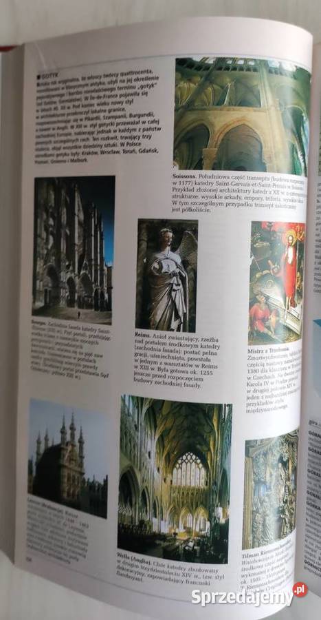 Encyklopedia powszechna i słownik jęz polskiego Katowice