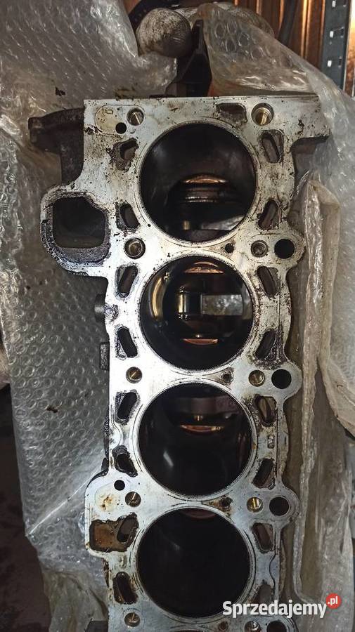 Blok silnika Bmw e46 e39 e60 z3 z4 20i 20Ci Dębica