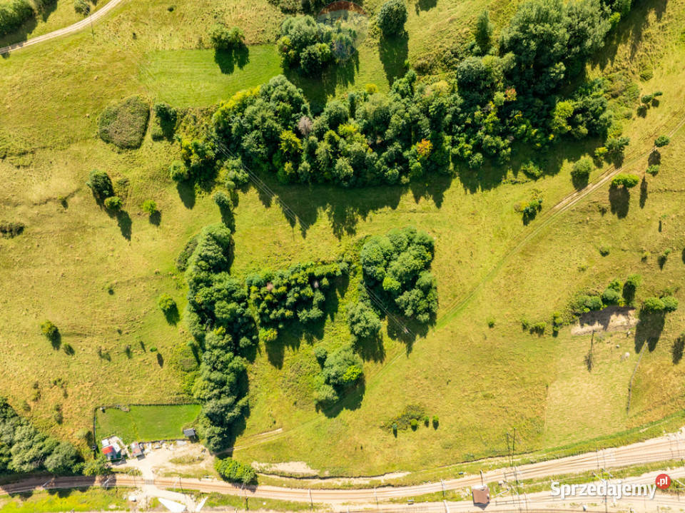 Działka rolna w Zakopanem Bachledzki Wierch Zakopane