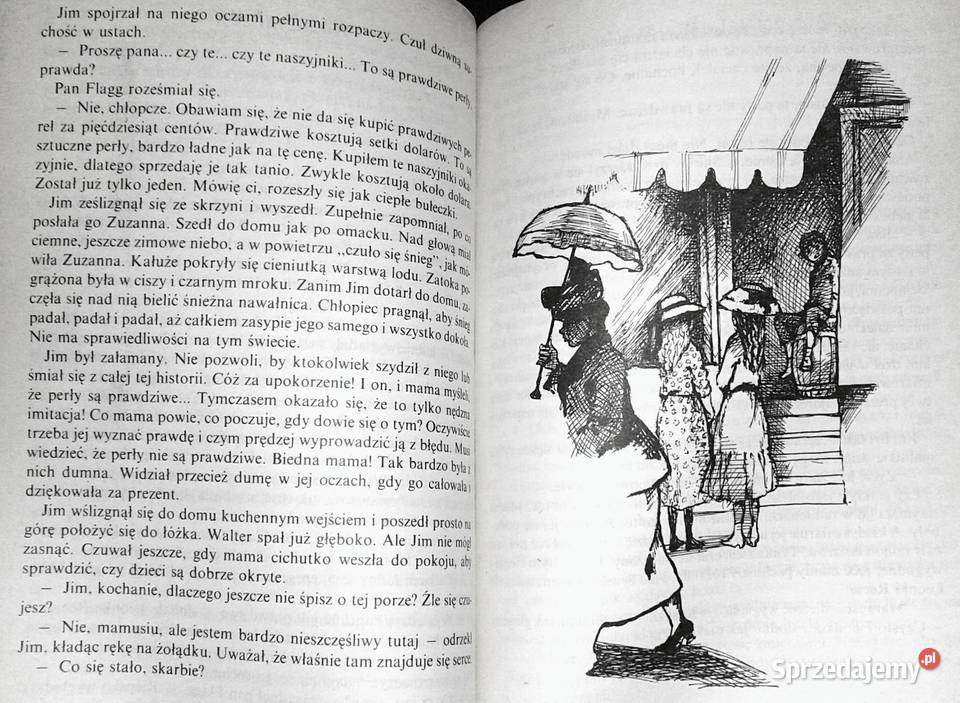 Ania ze Złotego Brzegu Lucy Maud Montgomery miękka lubelskie Chełm sprzedam