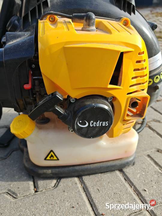 Dmuchawa do liści Cedrus MOCNA Dom i Ogród Kiełczewice Dolne