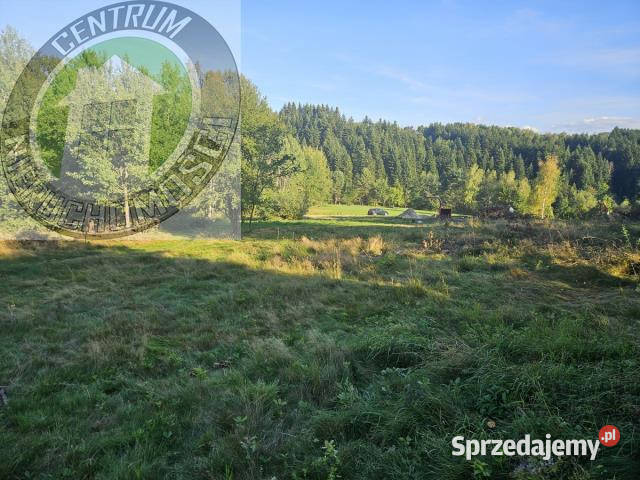 sprzedaży działki Mystków 9500m2