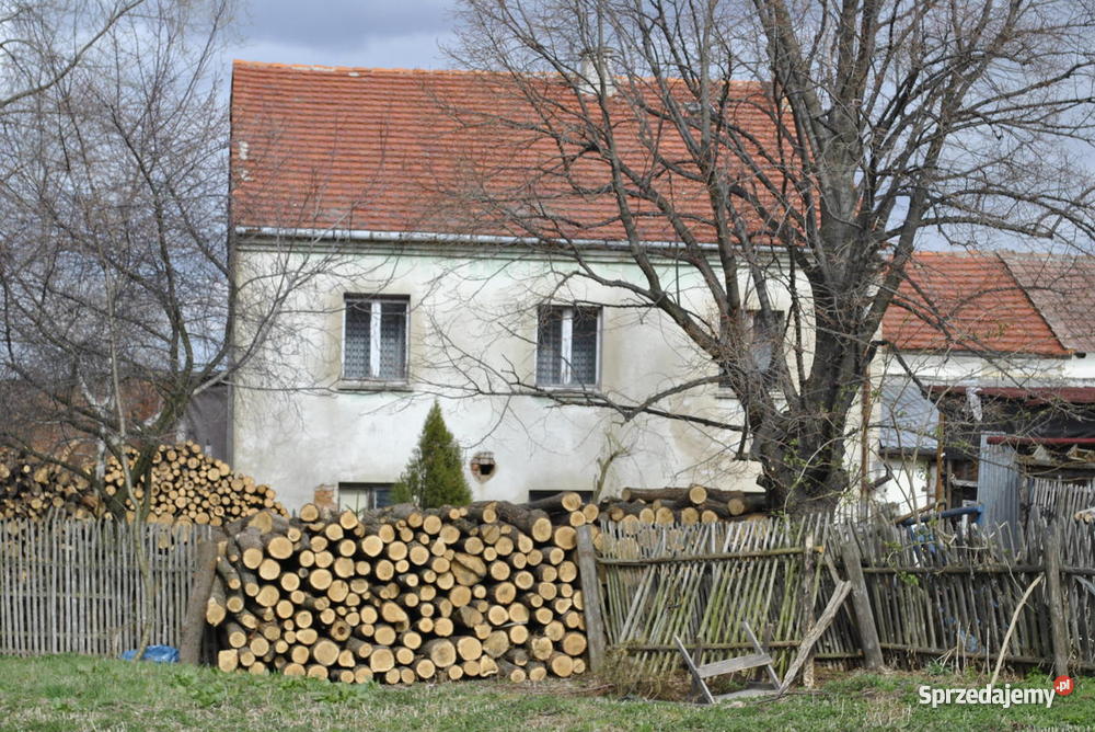Tani Domek pod lasem Grochowa