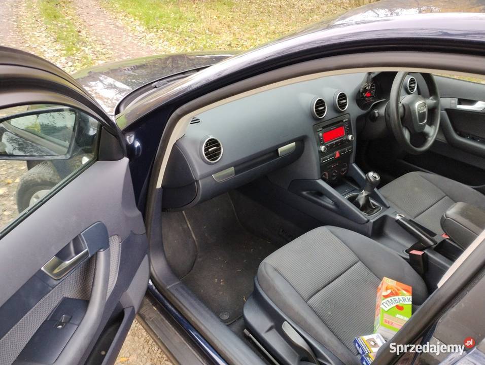 A3 8P 19tdi 105 ESP podkarpackie Jasło