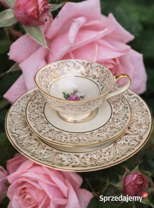 Porcelana zdobiona motywem róż Pabianice