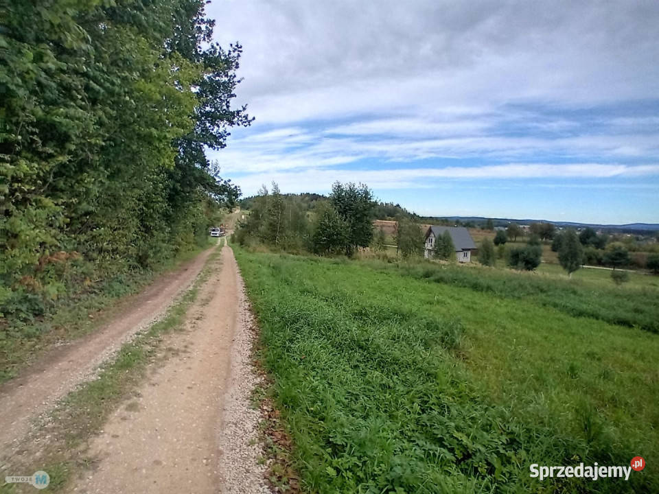 Grunt Morawica 800m2 Sprzedaż