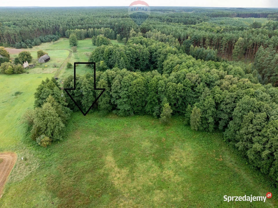 Działka budowlana Pąchy z DWZ2 domy Nieruchomości wielkopolskie