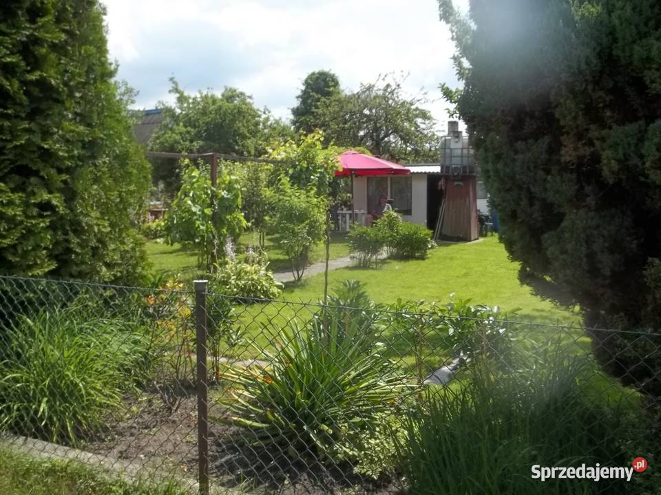 Ładna działka ROD Jeziorem Szczecin