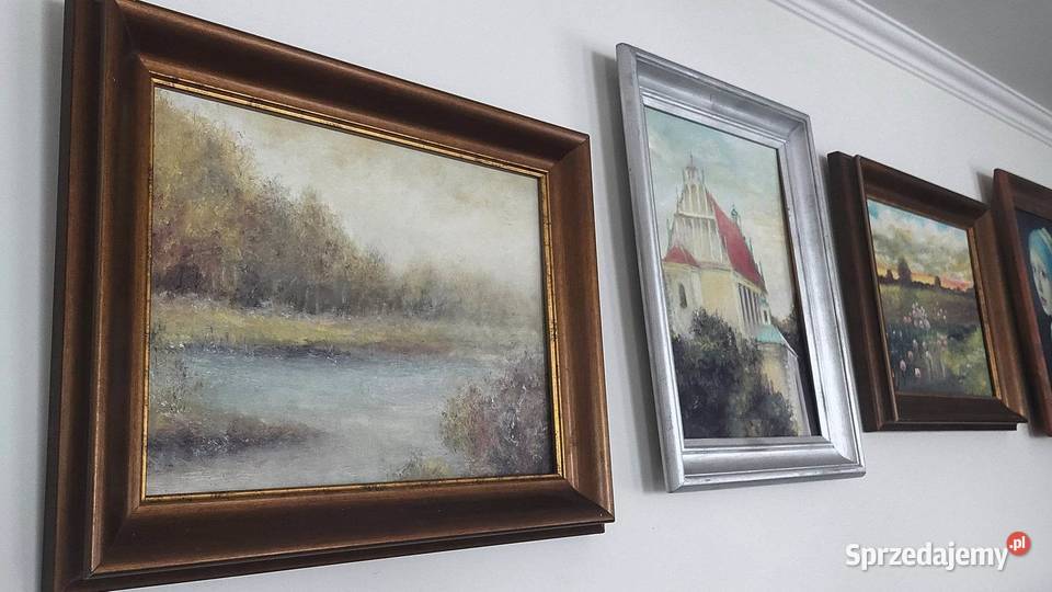 Biebrza Park Narodowy obraz 3040 Rama lubelskie Lublin