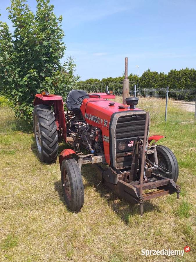 Ciągnik Massey Ferguson 255 Gdynia