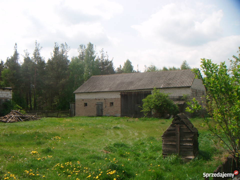 Sprzedam dom i budynki gospodarcze 1250zł/m2