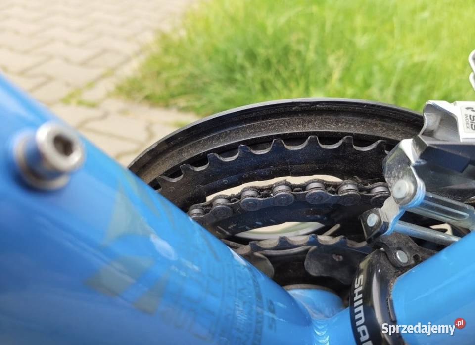 Rower Carver Złocieniec