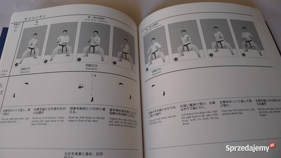 Karate Goju Kai Kata JFK j japangielski mazowieckie Radom