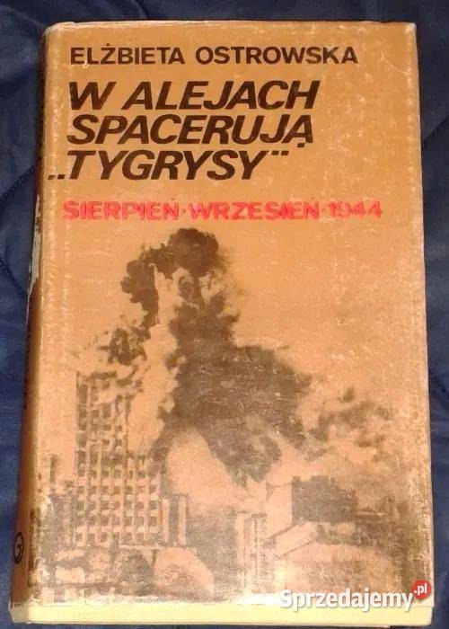 W alejach spacerują tygrysy sierpieńwrzesień Chełm