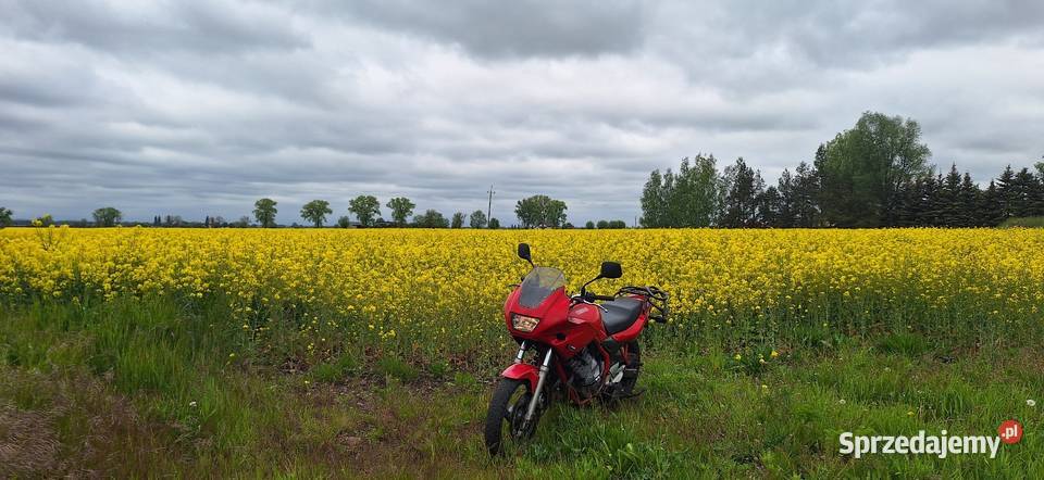 Yamaha XJ600 A2 odblokowana 61 Tczew sprzedam