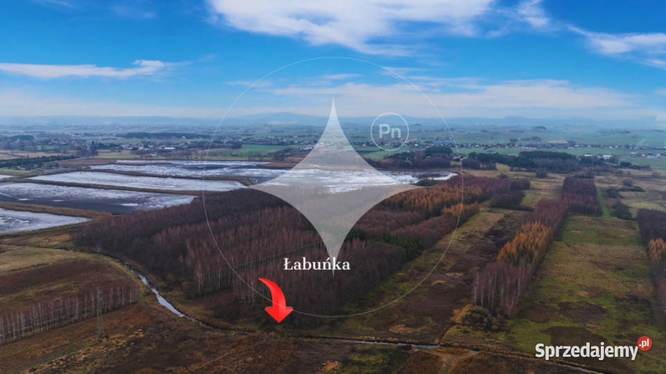 Piękna duża łąka z potencjałem w Pniówku Sprzedaż