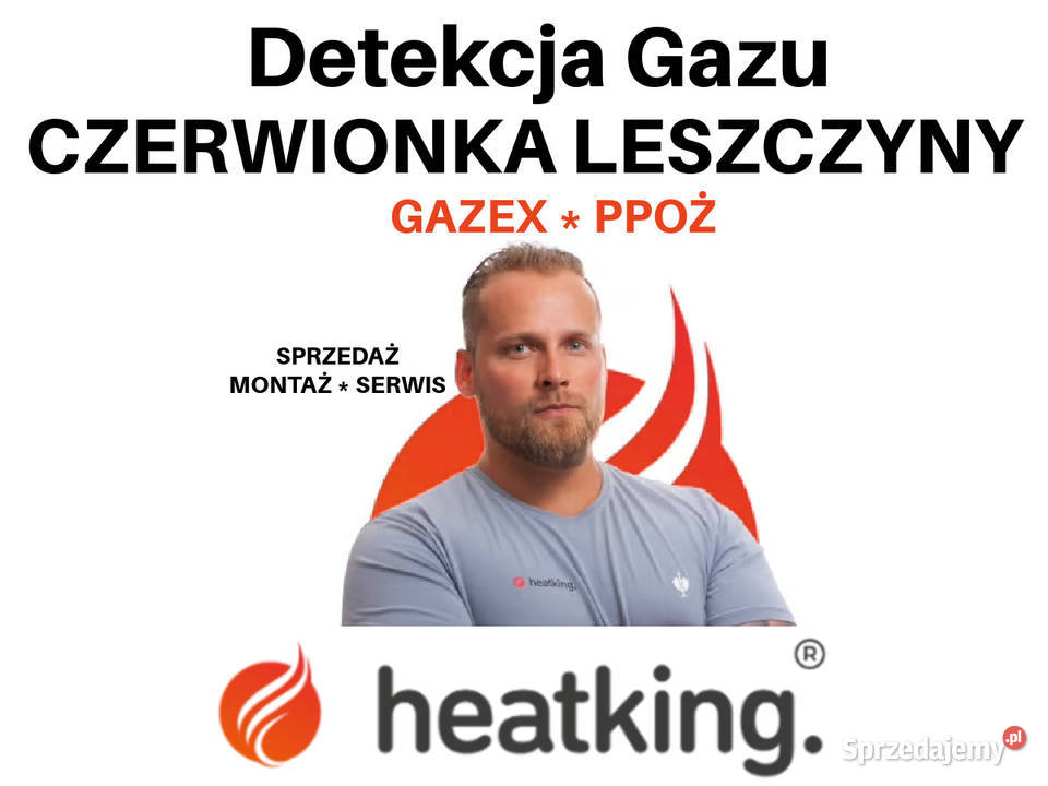 Detekcja Gazu Gazex PPOŻ CzerwionkaLeszczyny śląskie Czerwionka-Leszczyny