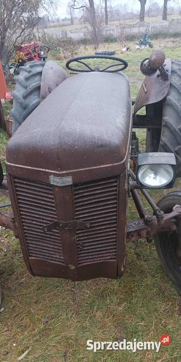 Massey Ferguson tea 20 Koszalin