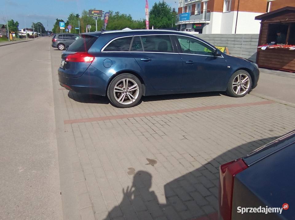 Opel Insignia A Paprotno