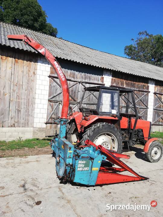 Sieczkarnia kukurydzy Mengele MB 280 Maszyny rolnicze Izbica