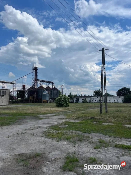 Ferma trzodadrobiu Żnin