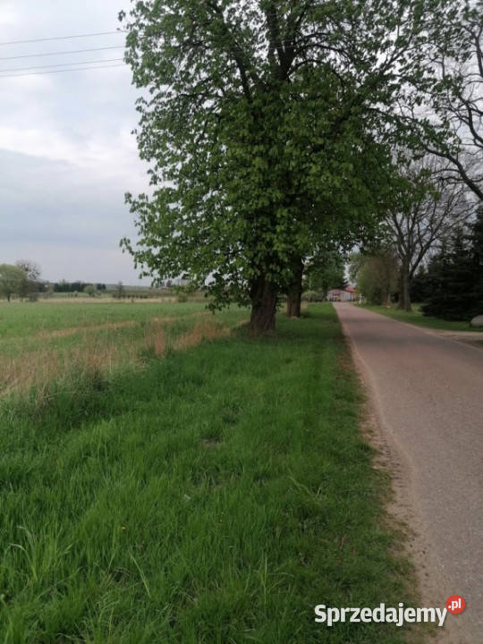 Działka z warunkami zabudowy Nowe Wrońska