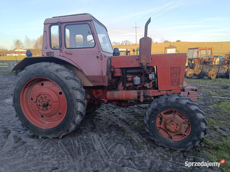 Sprzedam ciągnik rolniczy MTZ82 1986 23000 Napęd 4x4 Włoszakowice