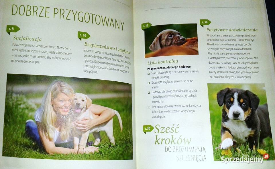 Wychowywanie psa Renate Jones lubelskie Chełm