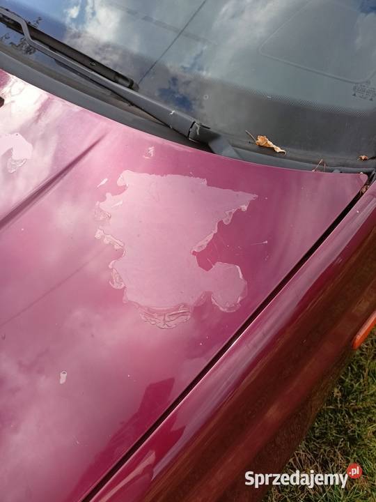 Sprzedam Volkswagena golfa Leszno sprzedam