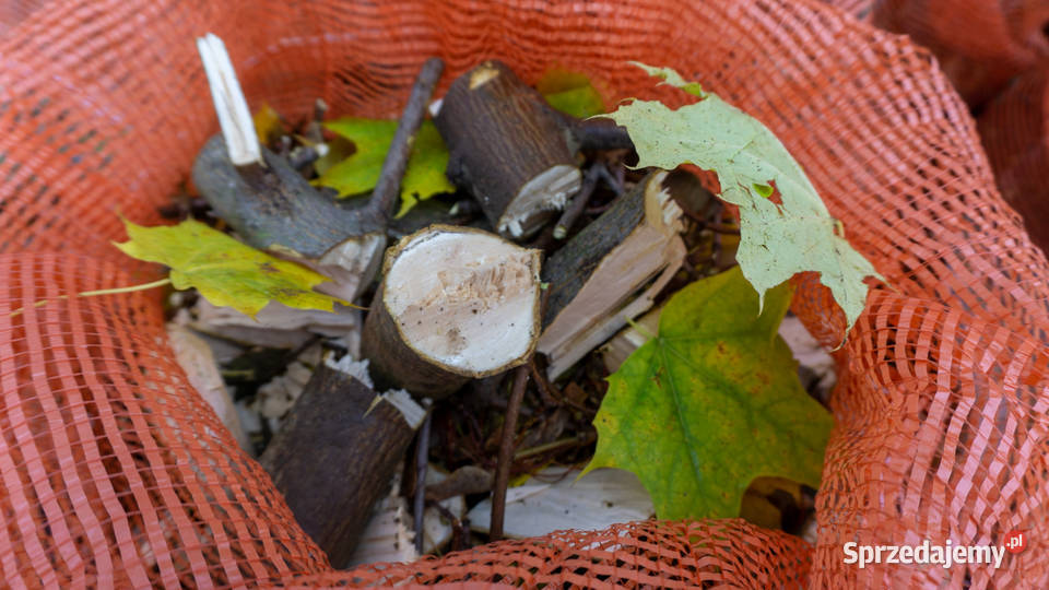 RĘBAK DO DREWNA MODEL R100 Wałbrzych