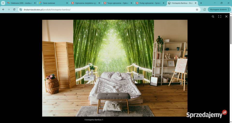 Fototapeta Bambus Zabrze