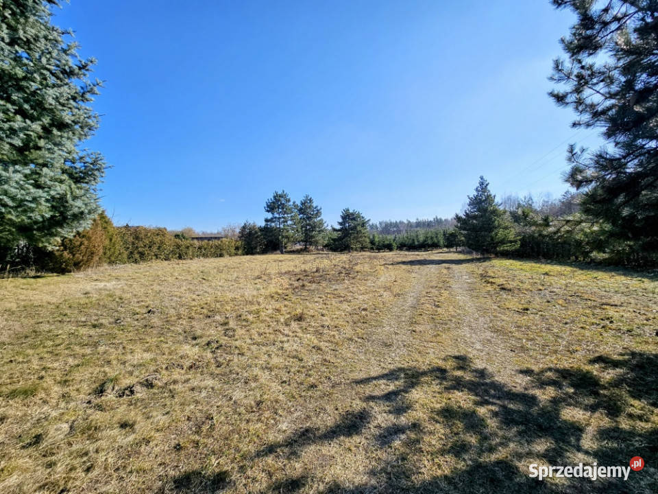 Działka budowlana 8600 m2 w klimatycznej mazowieckie
