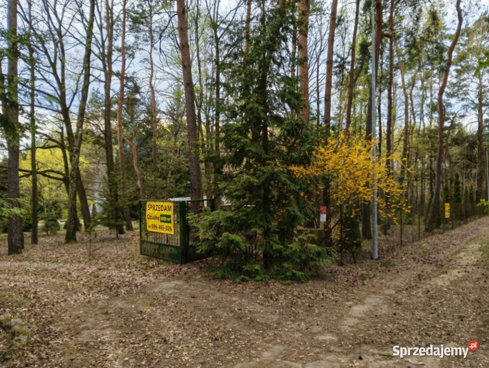 piekna dzialka odpowiediego klijenta Łódź sprzedam