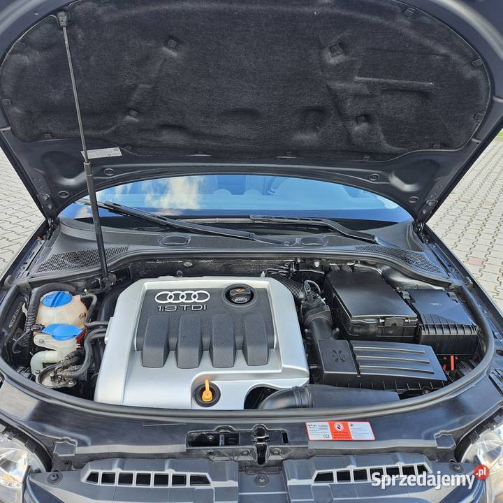 Audi A3 19TDI Super stanTlko176 przebiegu immobilizer świętokrzyskie Kielce