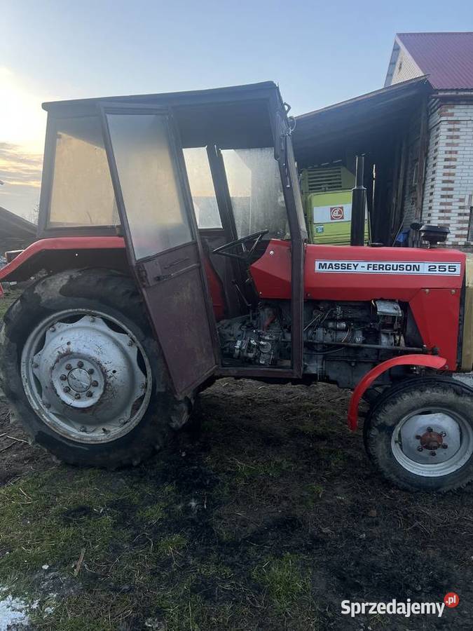 Massey Ferguson 255 Gruszka Mała Druga