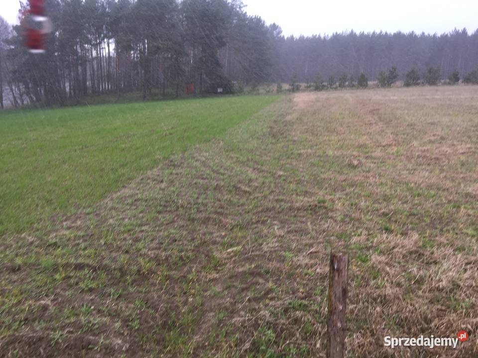 BORY TUCHOLSKIE STARY SUMIN z dostępem do sprzedam