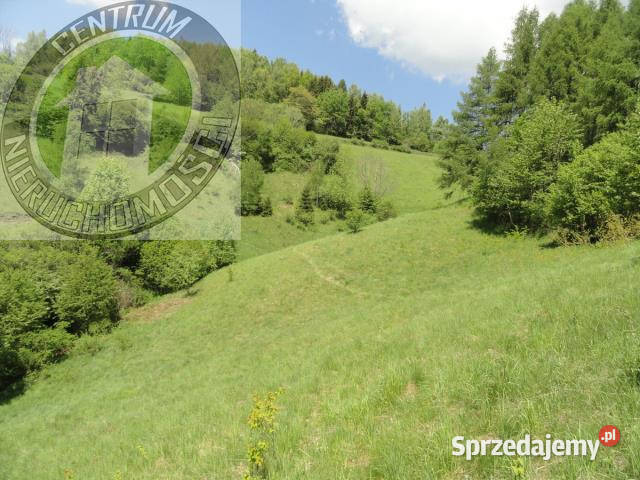 Grunt sprzedam Ochotnica Dolna 2600m2